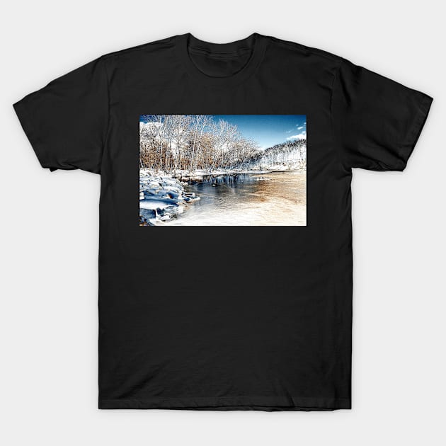 Winter In The Park - Infrared T-Shirt by JimDeFazioPhotography